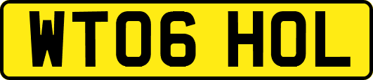 WT06HOL