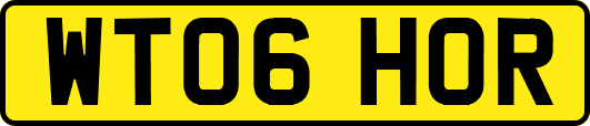 WT06HOR