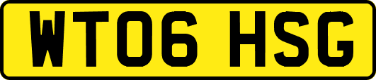 WT06HSG