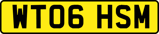 WT06HSM