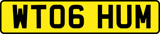 WT06HUM