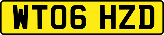 WT06HZD