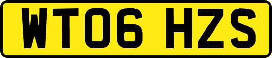 WT06HZS