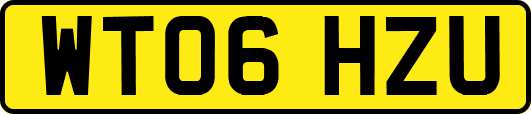 WT06HZU