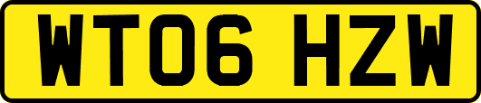 WT06HZW