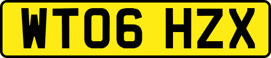 WT06HZX
