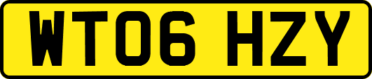 WT06HZY