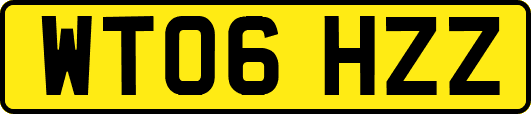 WT06HZZ