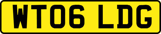 WT06LDG