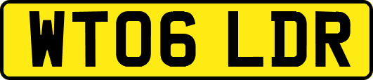 WT06LDR