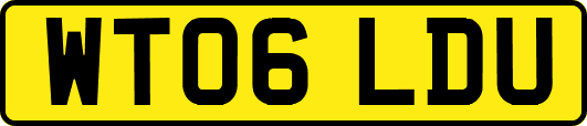 WT06LDU