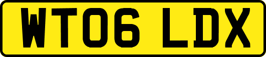 WT06LDX