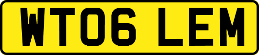 WT06LEM