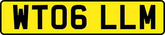 WT06LLM