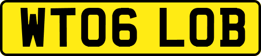 WT06LOB