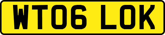 WT06LOK