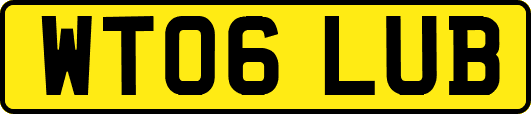 WT06LUB
