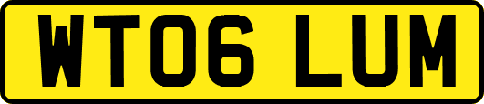 WT06LUM