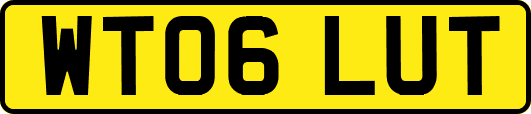 WT06LUT