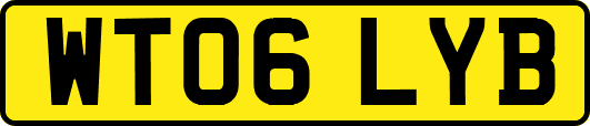 WT06LYB