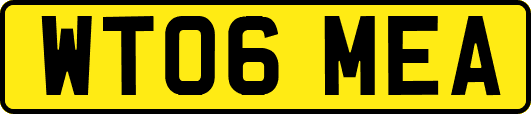 WT06MEA
