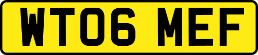 WT06MEF