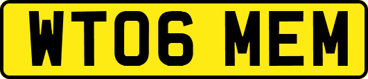 WT06MEM