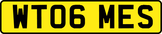 WT06MES