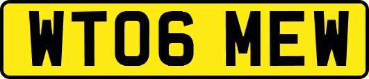 WT06MEW