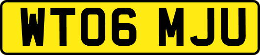 WT06MJU