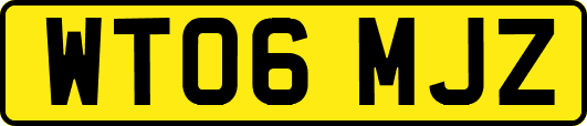 WT06MJZ