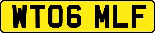 WT06MLF