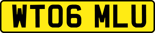 WT06MLU