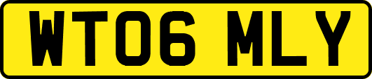 WT06MLY