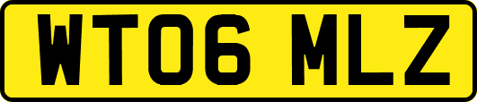 WT06MLZ