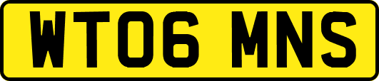 WT06MNS