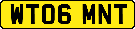 WT06MNT