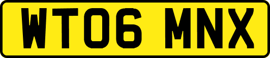 WT06MNX