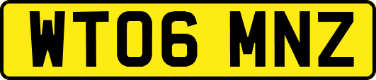 WT06MNZ