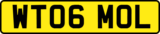 WT06MOL
