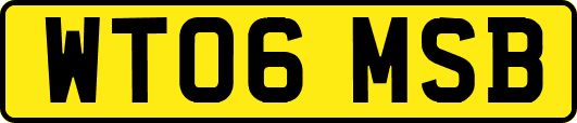 WT06MSB