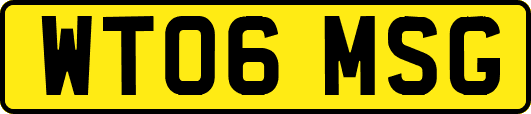 WT06MSG