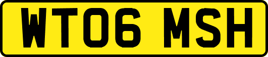 WT06MSH