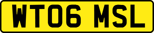 WT06MSL
