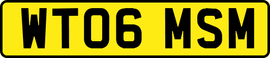 WT06MSM