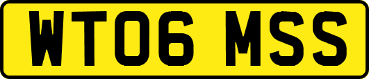 WT06MSS