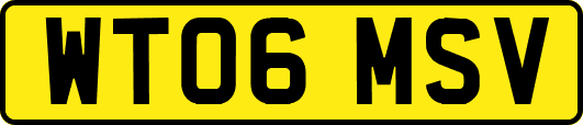 WT06MSV