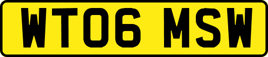 WT06MSW
