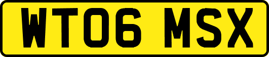 WT06MSX