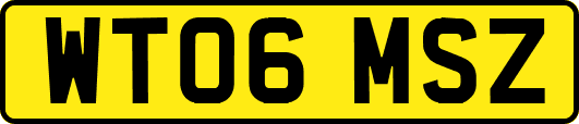WT06MSZ